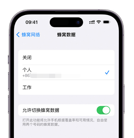 莱城苹果维修服务分享如何在iPhone上使用双卡 